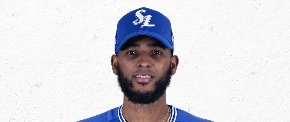 디아즈내야수 사진